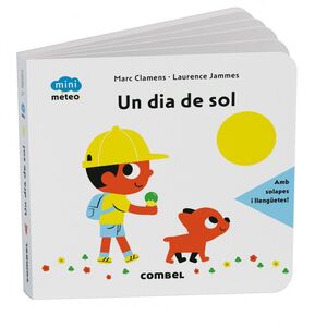 UN DIA DE SOL