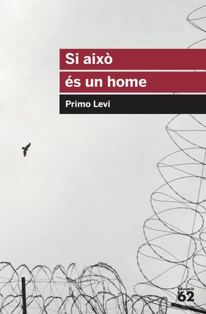 SI AIXO ES UN HOME