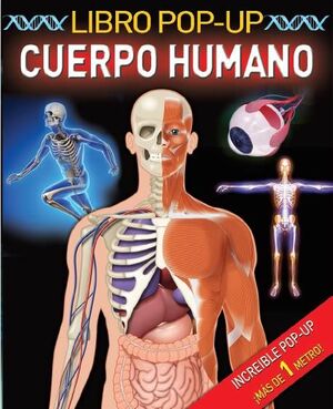 CUERPO HUMANO POP UP