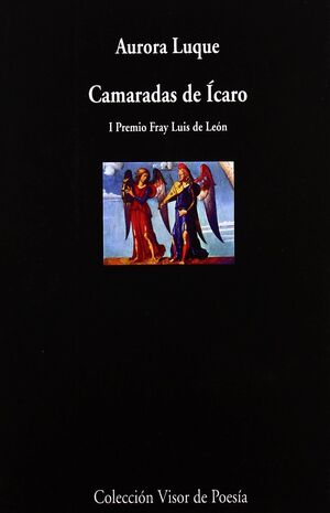 CAMARADAS DE ÍCARO
