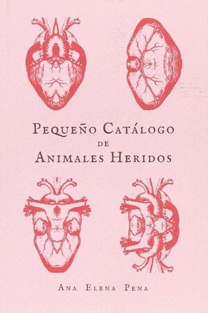 PEQUE¥O CATALOGO DE ANIMALES HERIDOS